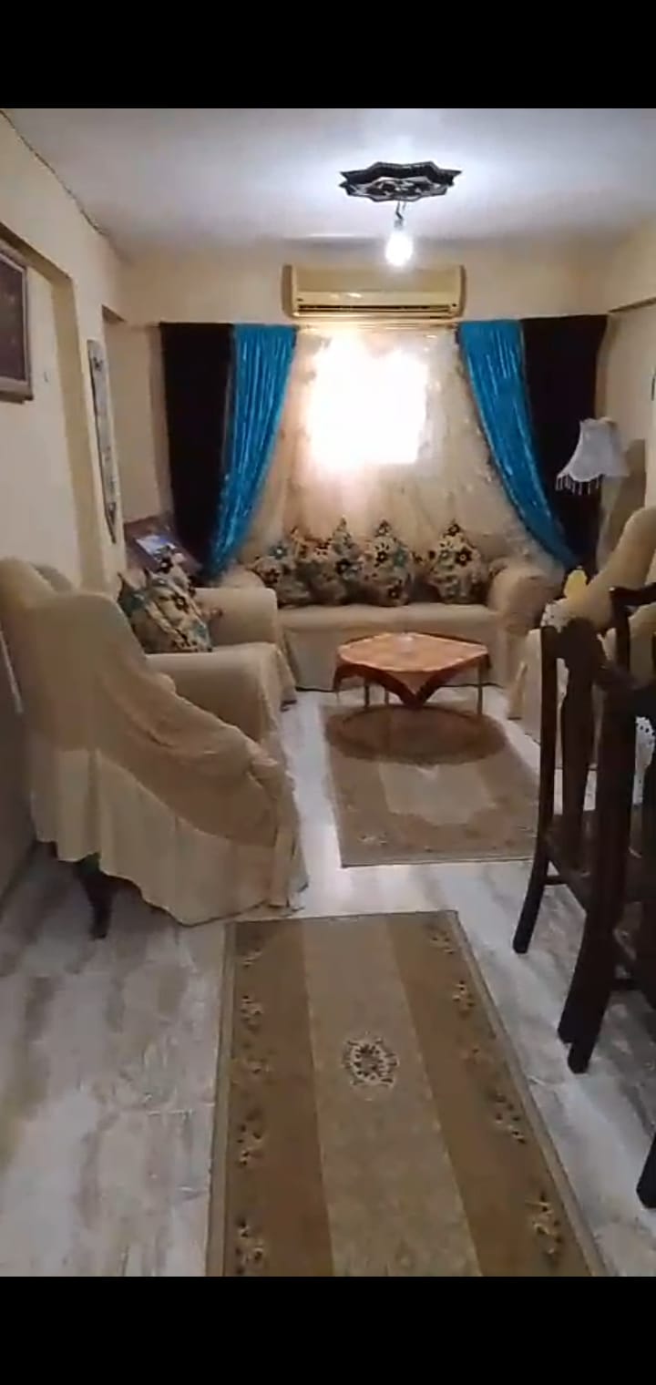 ميامي الجديدة – شارع 10 – الإسكندرية