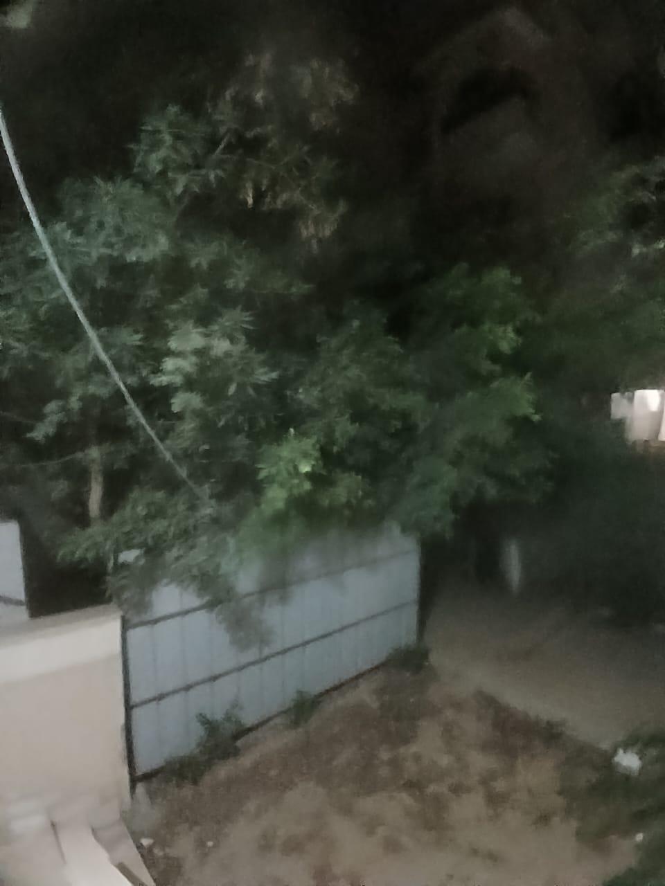 شقه جميله بالشيخ زايد 