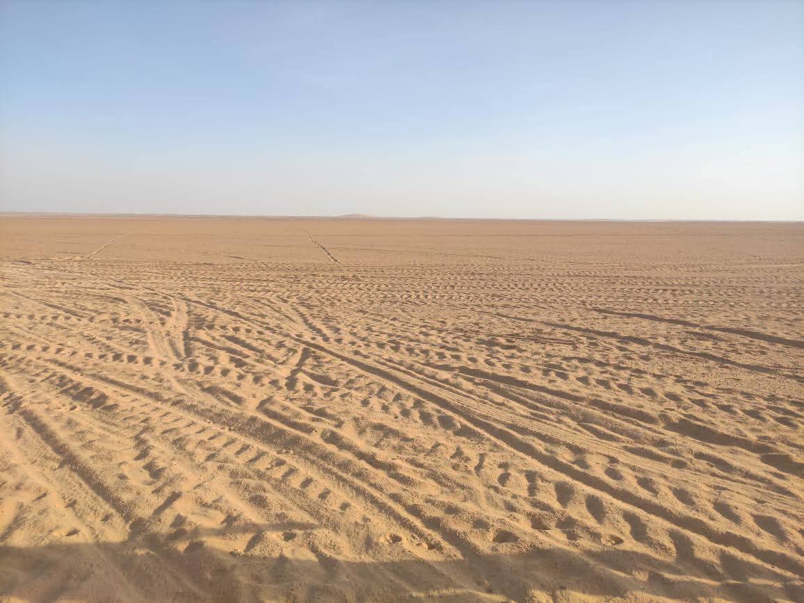 للبيع ارض زراعيه ببرج العرب