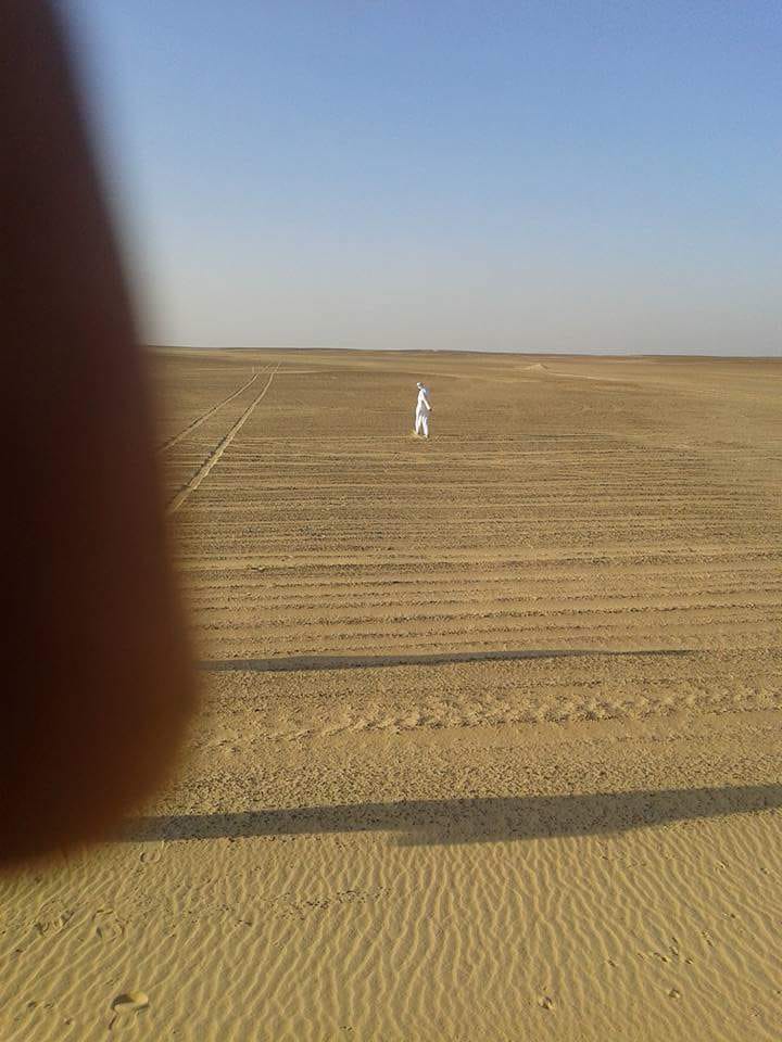 فرصه استثماريه زراعيه 
