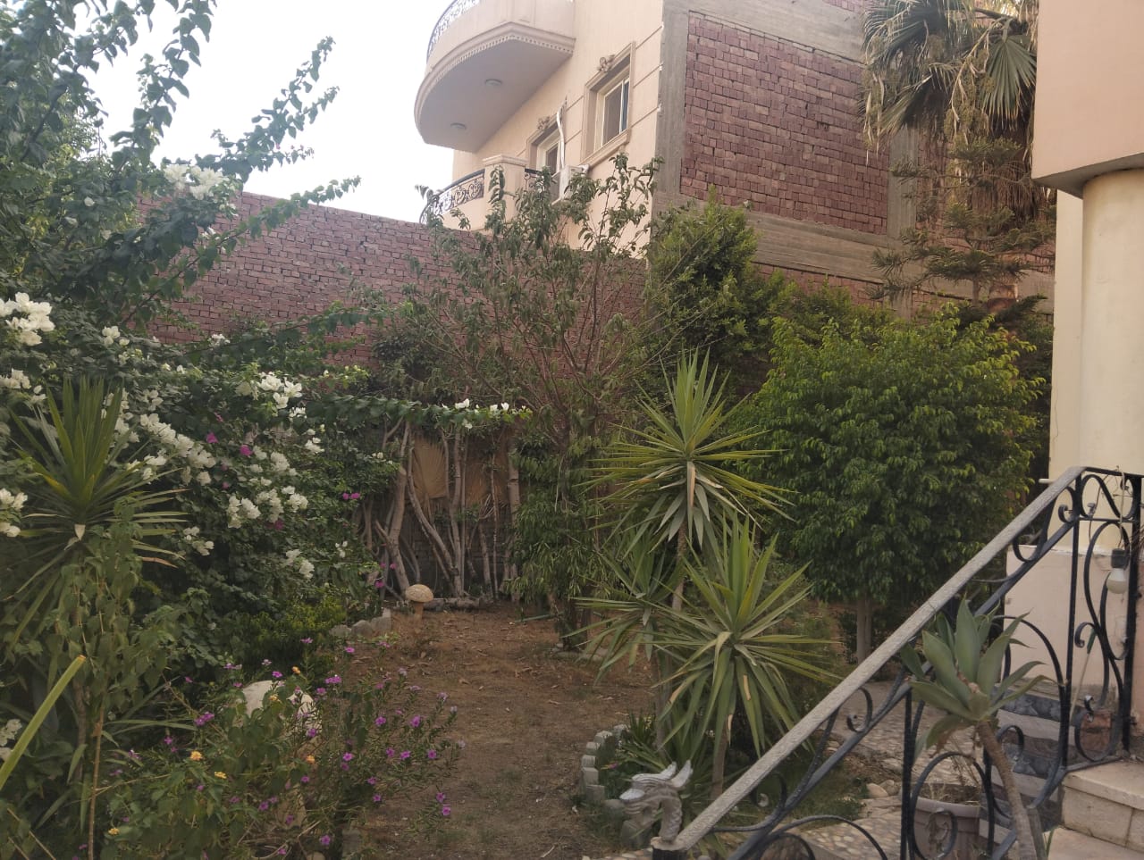 دريم لاند/اكتوبر  /٥٥٠م